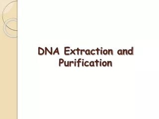 DNA Extraction and Purification