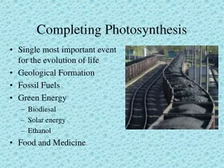 Completing Photosynthesis