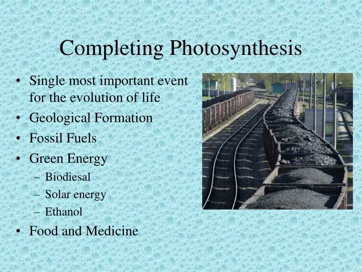 completing photosynthesis