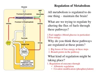 All metabolism is regulated to do one thing – maintain the brain!