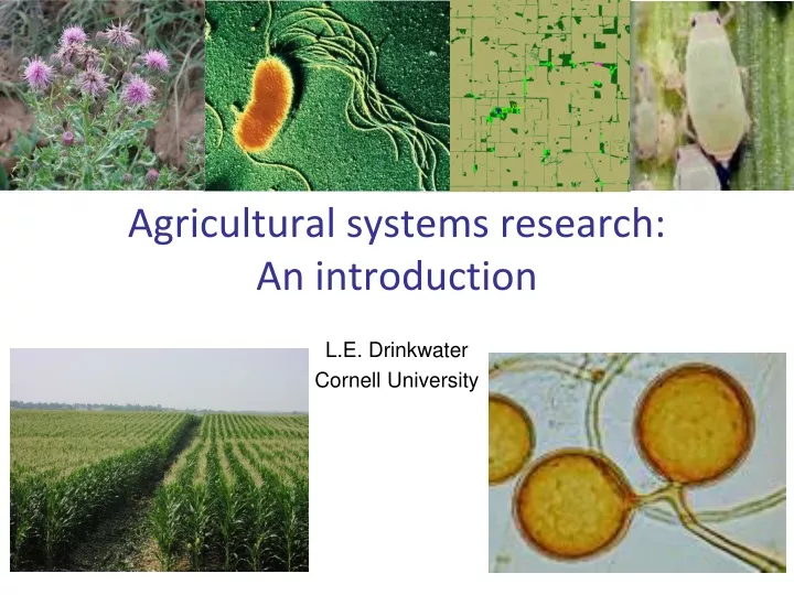 agricultural systems research an introduction