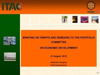 BRIEFING ON TARIFFS AND REMEDIES TO THE PORTFOLIO COMMITTEE  ON ECONOMIC DEVELOPMENT