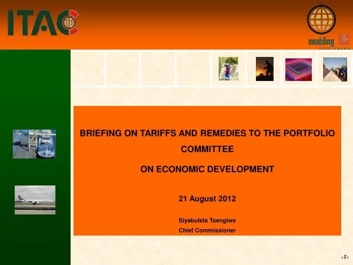 briefing on tariffs and remedies to the portfolio