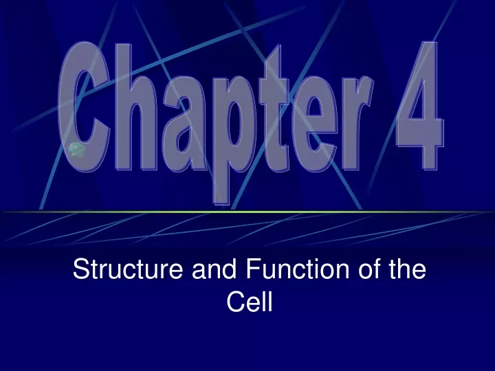 structure and function of the cell