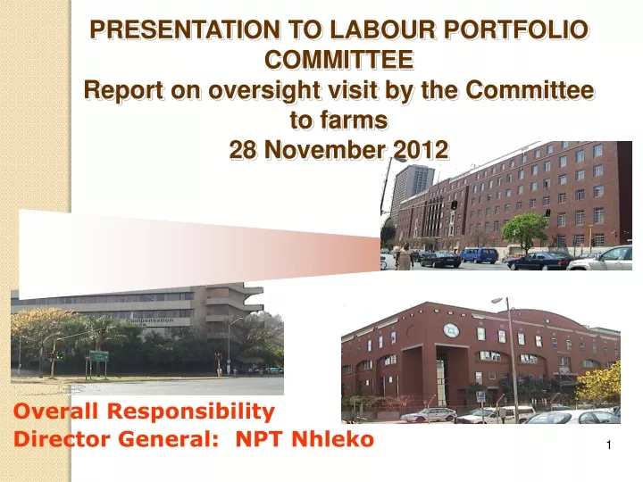 overall responsibility director general npt nhleko