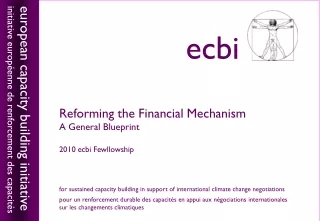 Reforming the Financial Mechanism A General Blueprint 2010 ecbi Fewllowship