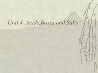 Unit 4  Acids,Bases and Salts