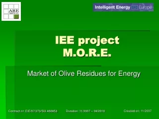 IEE project M.O.R.E.