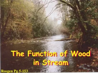 The Function of Wood in Stream