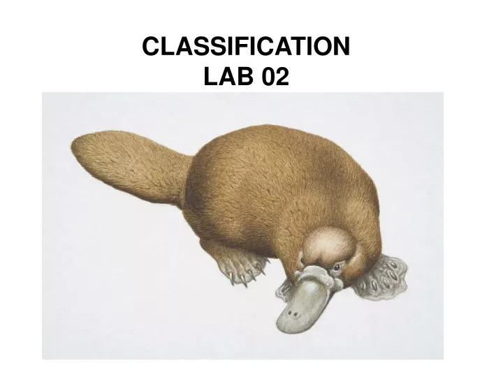 classification lab 02