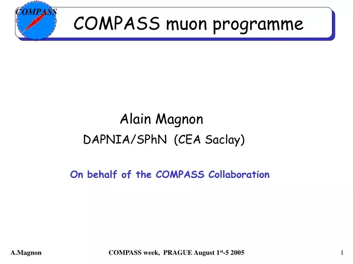 compass muon programme