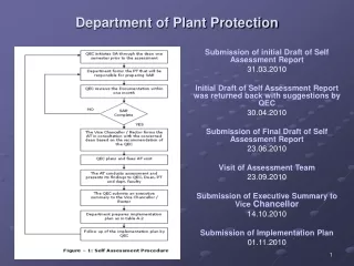 Department of Plant Protection