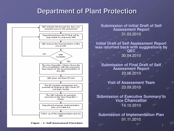 department of plant protection