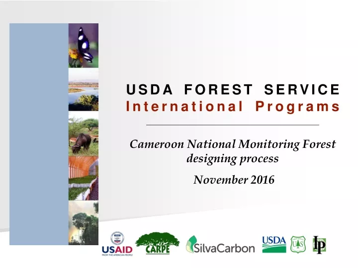 usda forest service international programs