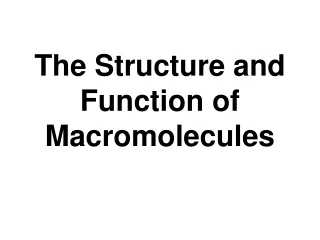 The Structure and Function of Macromolecules