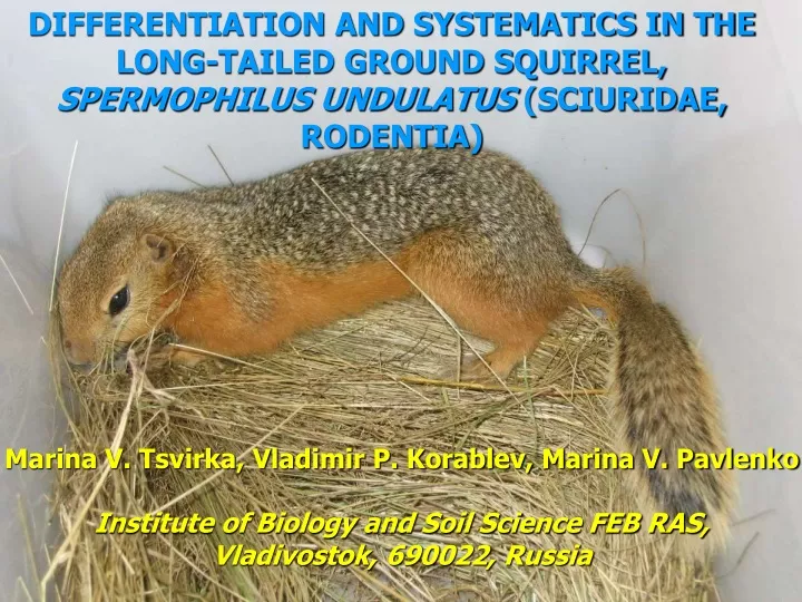 differentiation and systematics in the long