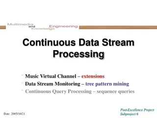 Continuous Data Stream Processing