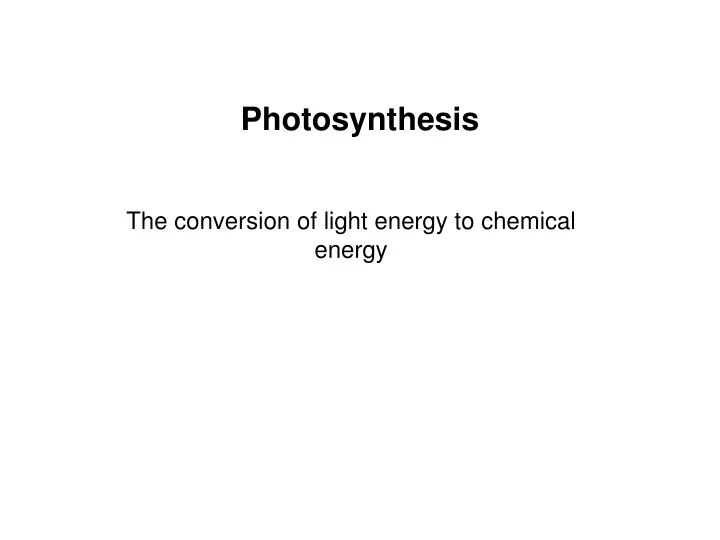 photosynthesis