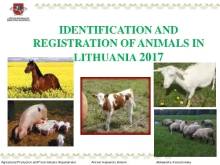 IDENTIFICATION AND REGISTRATION OF ANIMALS IN LITHUANIA  2017