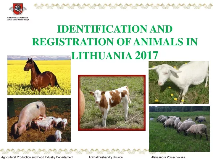 identification and registration of animals