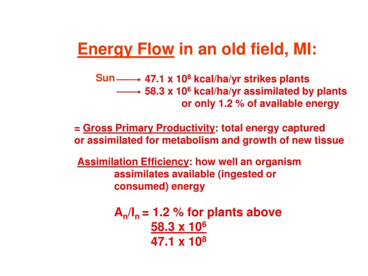 energy flow in an old field mi