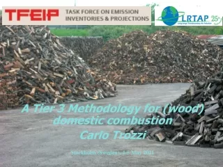 A Tier 3 Methodology for (wood) domestic combustion  Carlo Trozzi
