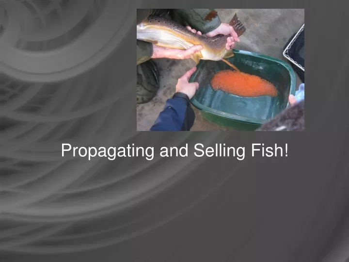 propagating and selling fish