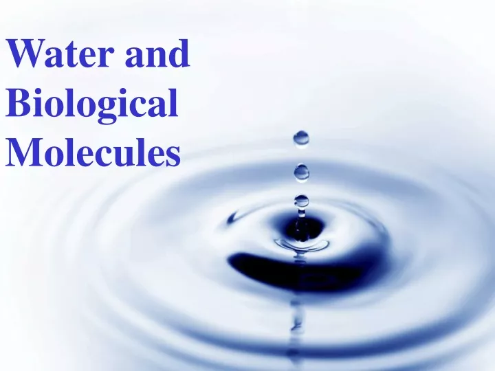 water and biological molecules