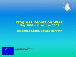 Progress Report on WG C May 2009 - November 2009  Johannes Grath, Balazs Horvath