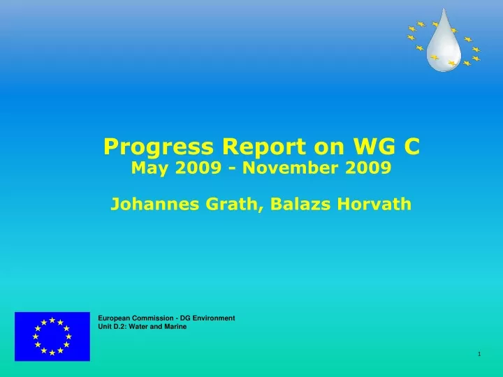 progress report on wg c may 2009 november 2009
