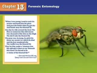 Forensic Entomology