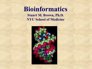 Bioinformatics Stuart M. Brown, Ph.D. NYU School of Medicine