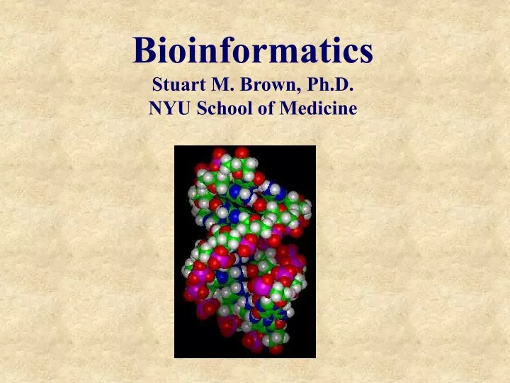 bioinformatics stuart m brown ph d nyu school of medicine