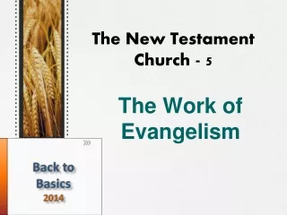 The New Testament Church - 5