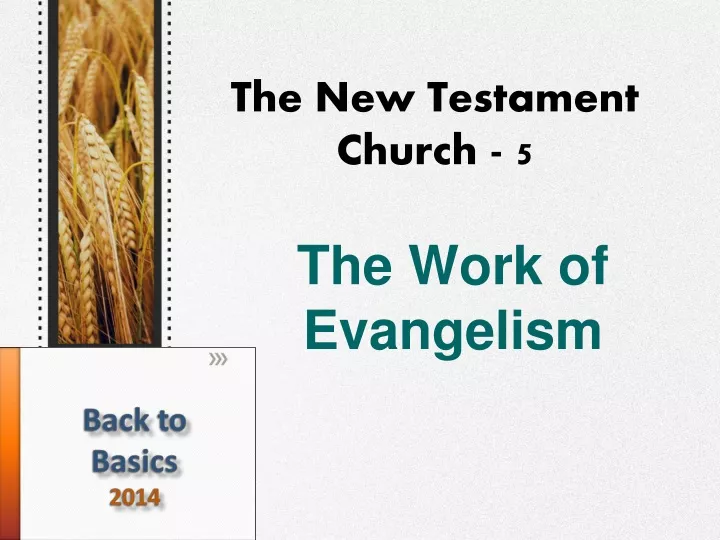 the new testament church 5