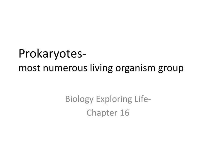 prokaryotes most numerous living organism group