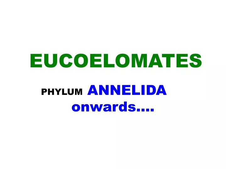 eucoelomates