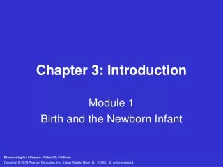 Chapter 3: Introduction