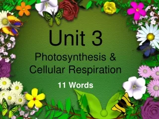 Unit 3  Photosynthesis &amp; Cellular Respiration
