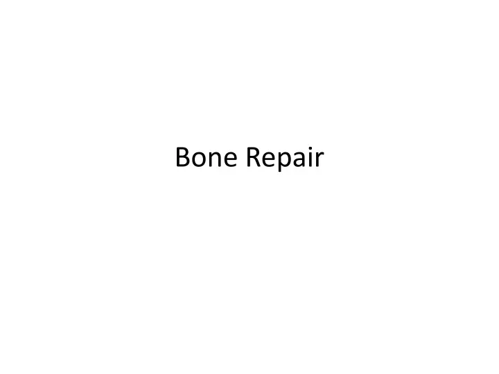 bone repair