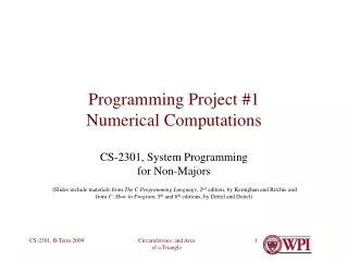 Programming Project #1 Numerical Computations