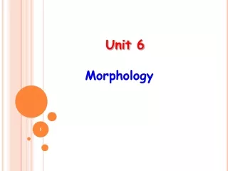 Unit  6 Morphology