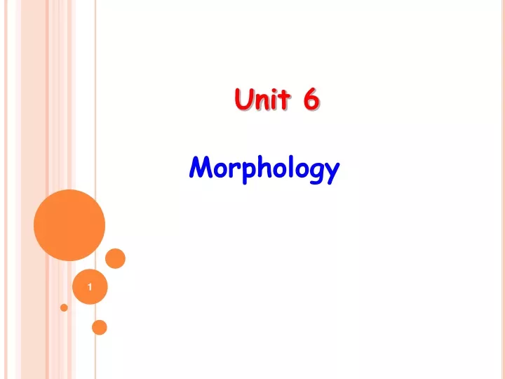 unit 6 morphology