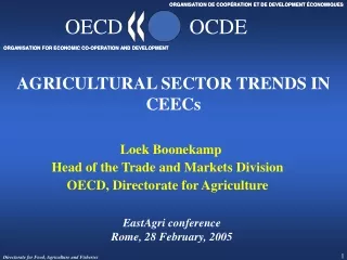 AGRICULTURAL SECTOR TRENDS IN CEECs