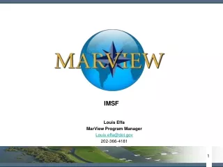 Louis Effa MarView Program Manager Louis.effa@dot 202-366-4181
