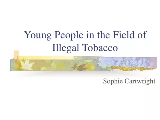 Young People in the Field of Illegal Tobacco