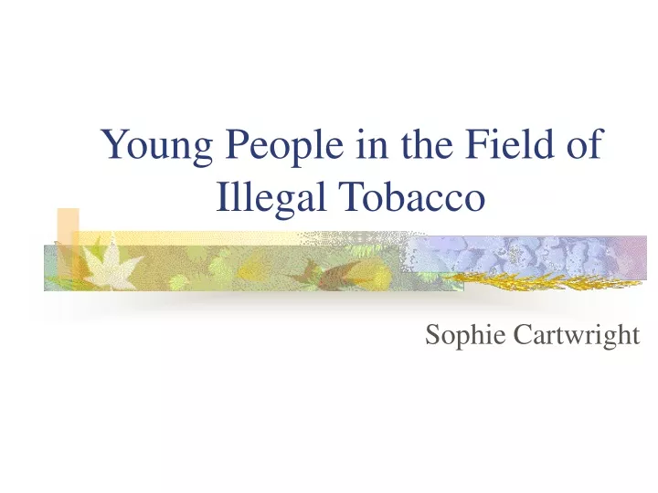 young people in the field of illegal tobacco