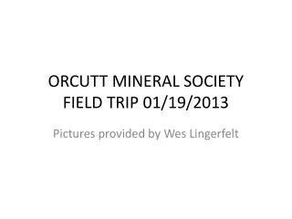 ORCUTT MINERAL SOCIETY FIELD TRIP 01/19/2013