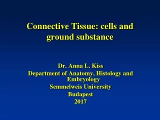 Connective Tissue :  cells  and  ground substance