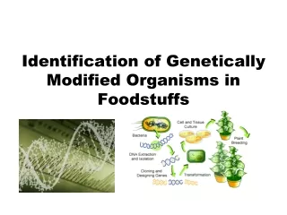 Identification of Genetically Modified Organisms in Foodstuffs